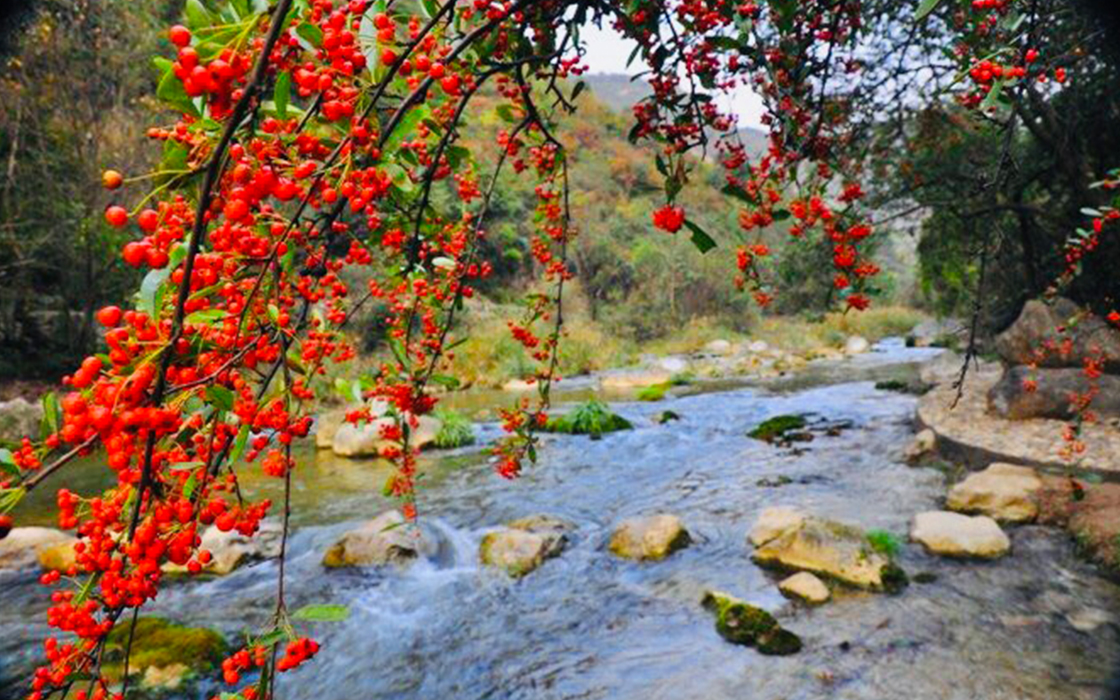 永旺快投网线路检测 - 首页