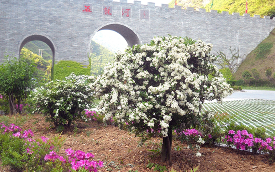 永旺快投网线路检测 - 首页