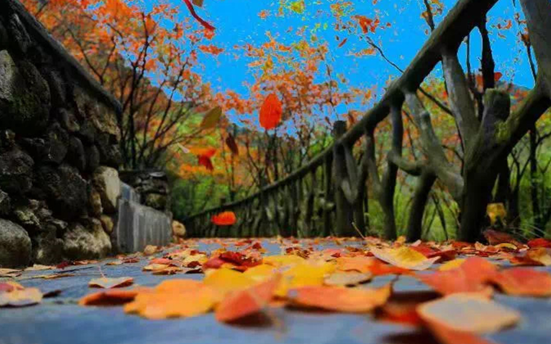 永旺快投网线路检测 - 首页