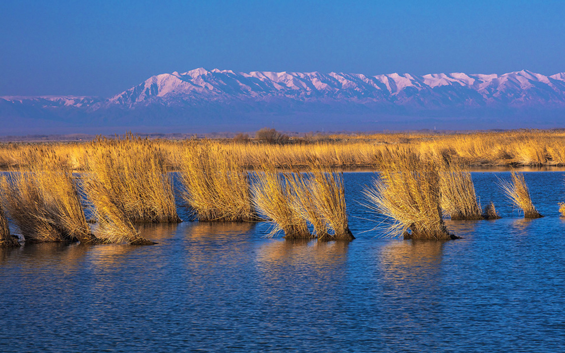 永旺快投网线路检测 - 首页