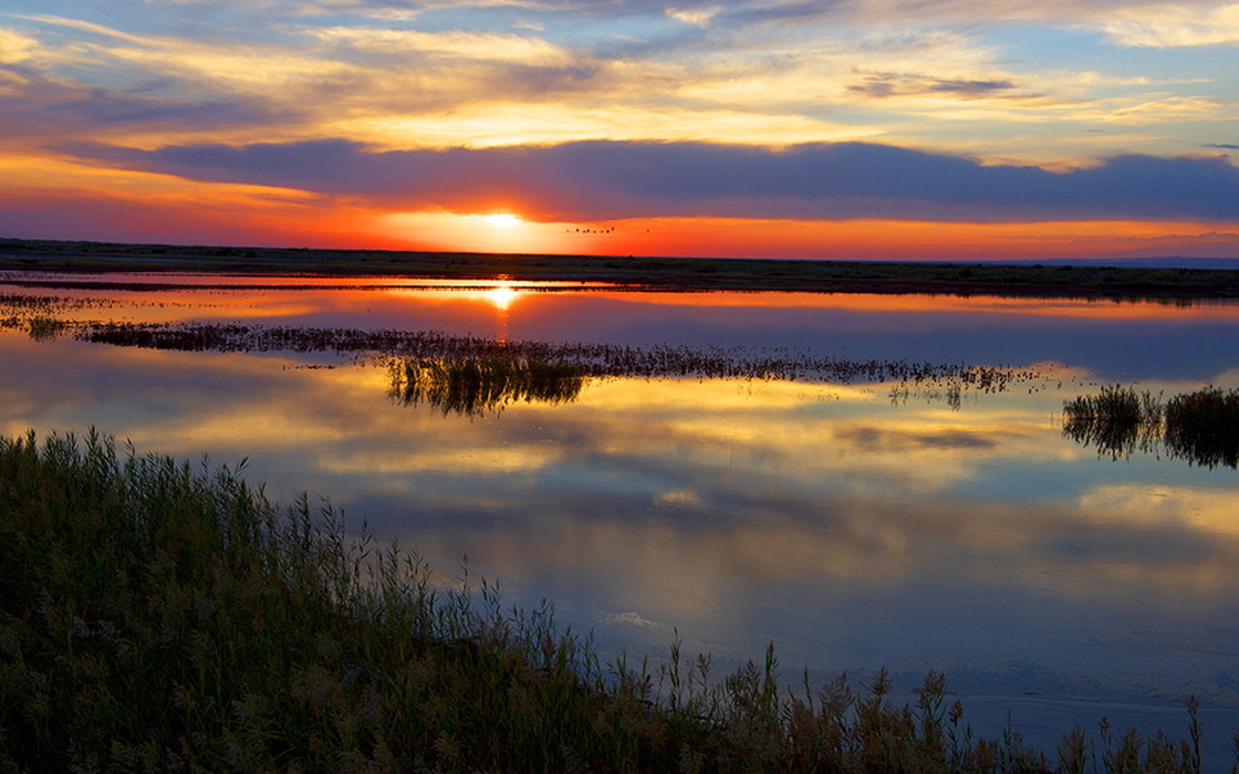 永旺快投网线路检测 - 首页
