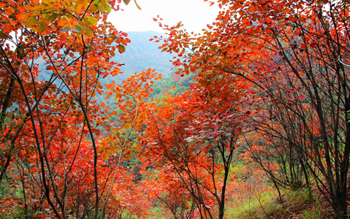 永旺快投网线路检测 - 首页