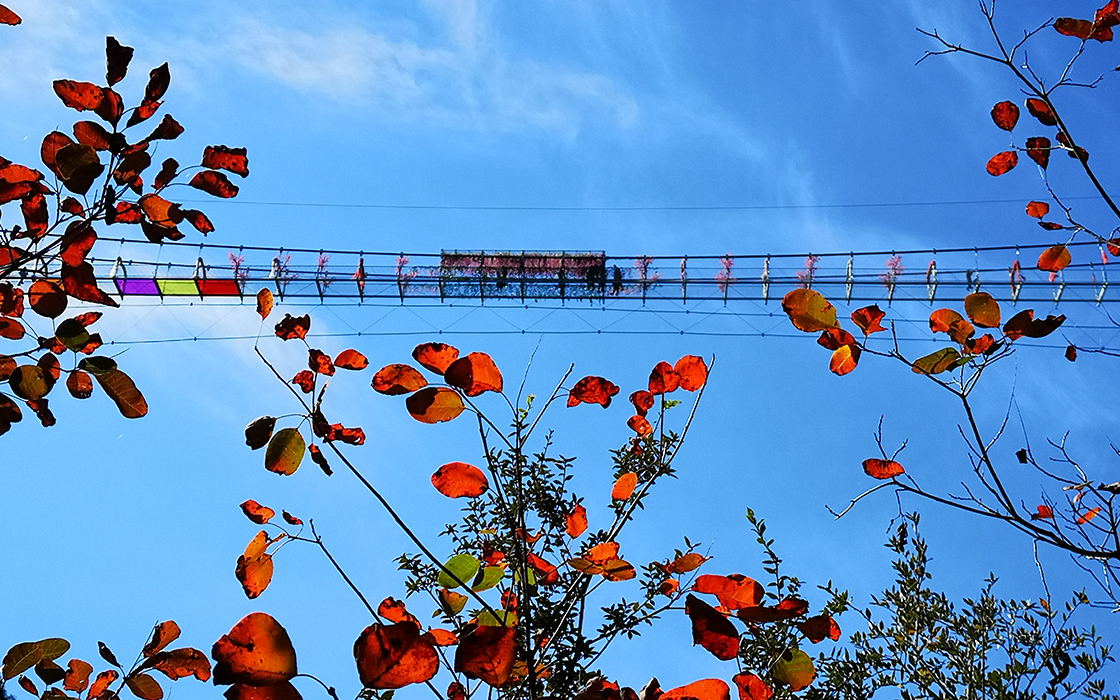 永旺快投网线路检测 - 首页